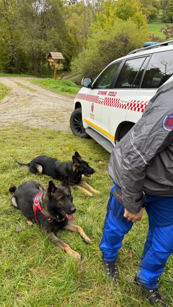 Kynológia HZS