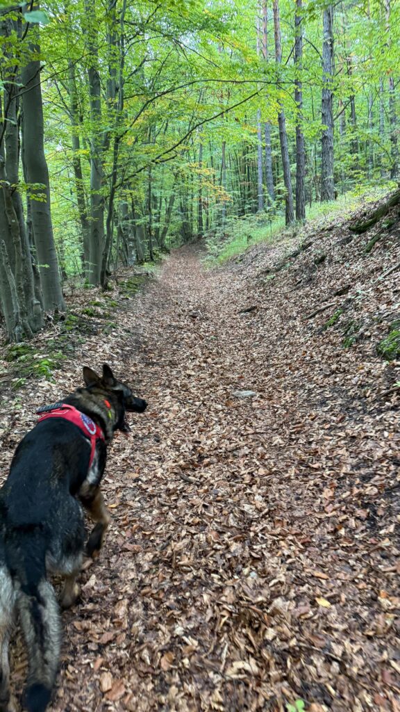 HZS ilustračné fotky