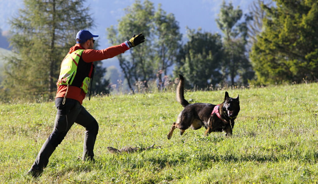 Z ukážok prác záchranárov HZS kynológia