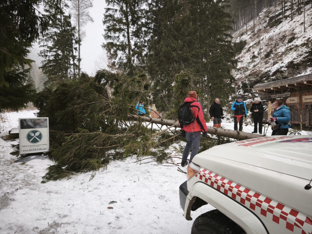 turisti pri Medvedej štôlni so spadnutým stromom cez TZCH