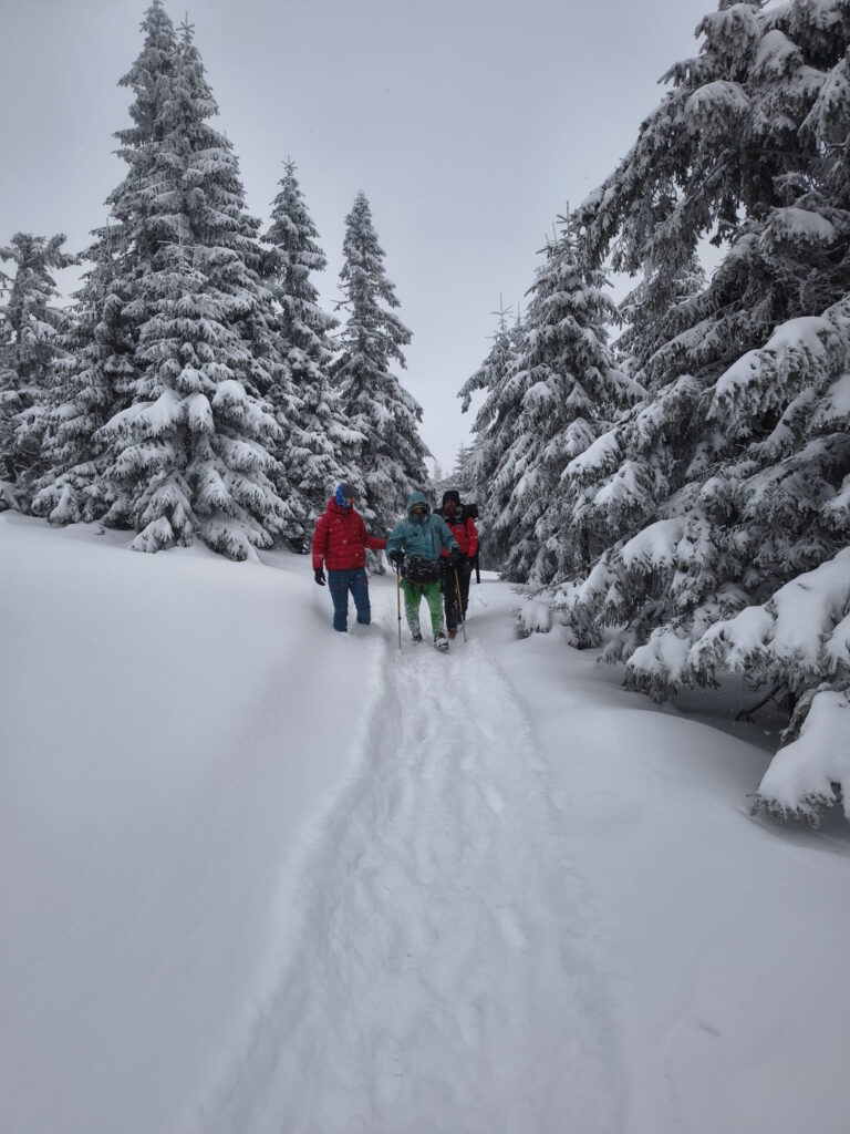 Uviaznutí Poliaci pod Babou horou, transport vyčerpaného zimnou krajinou