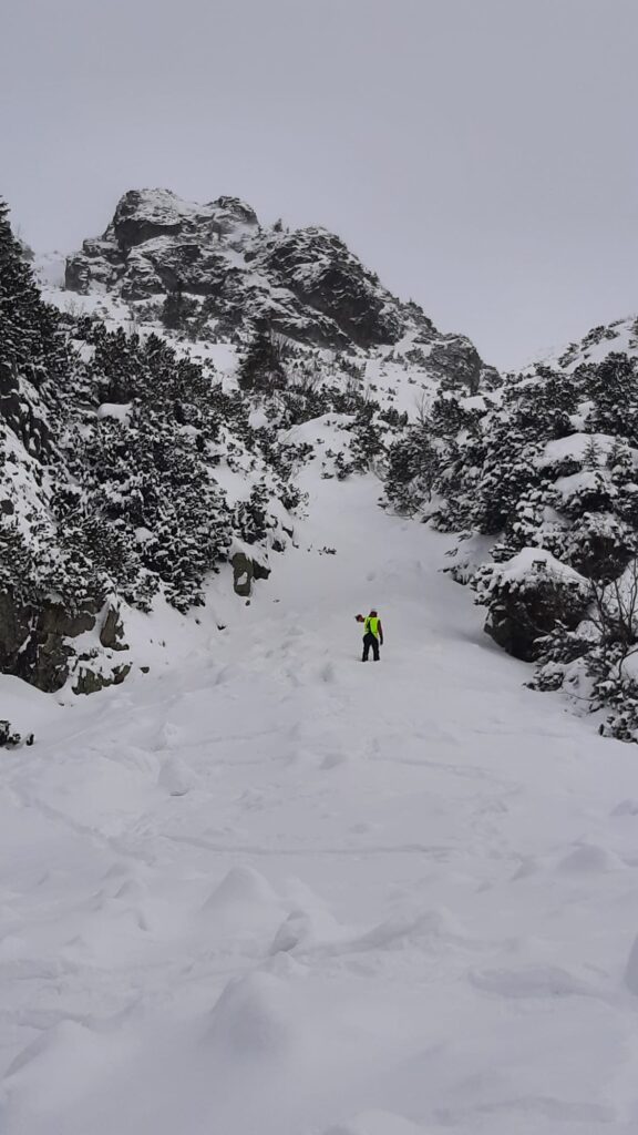 prehľadávanie lavinišťa pomocou systému Recco