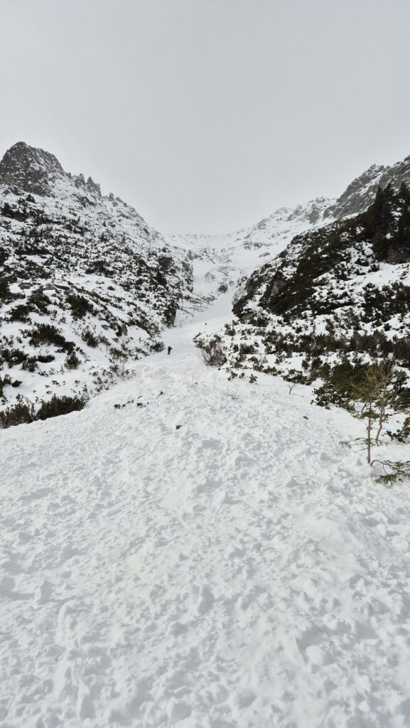 Pohľad zdola na nános lavíny