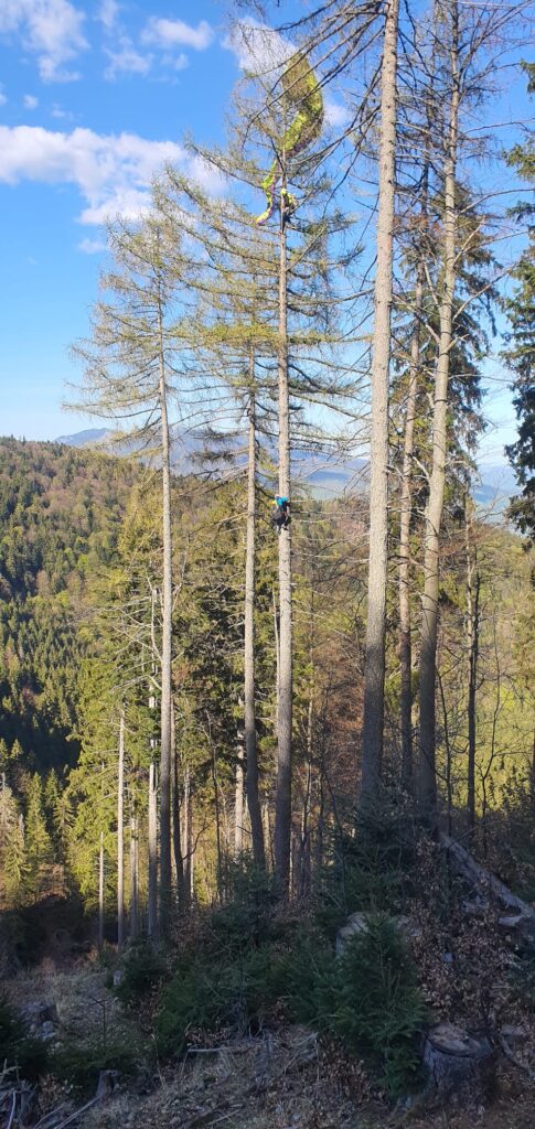 záchranár HZS spúšťa uviaznutého paraglajdistu zo stromu pomocou lanovej techniky