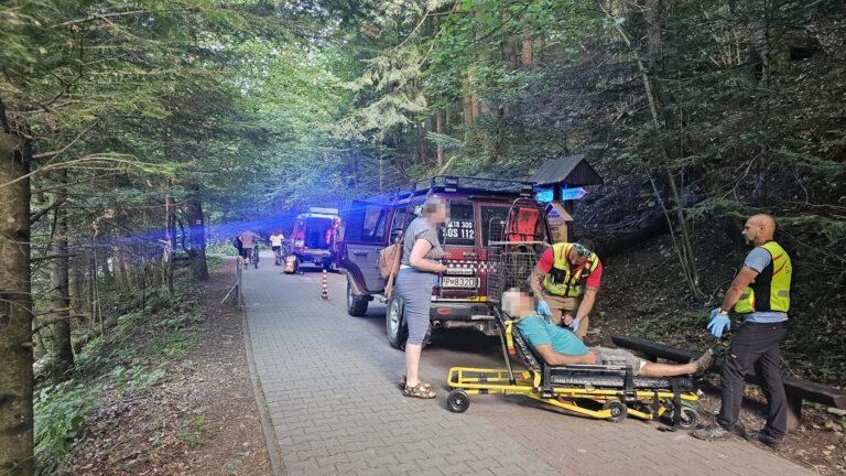 Článok: Cyklista si privodil úraz hlavy v Prielome Dunajca