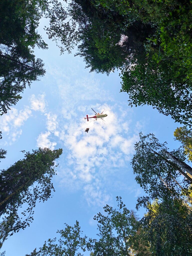 vrtuľník VZZS s lekárom v podvese nad korunami stromov 