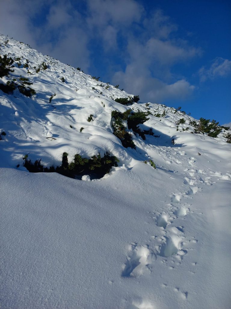 Stopy v snehu. Snehová pokrývka miestami dosahuje 30 cm.