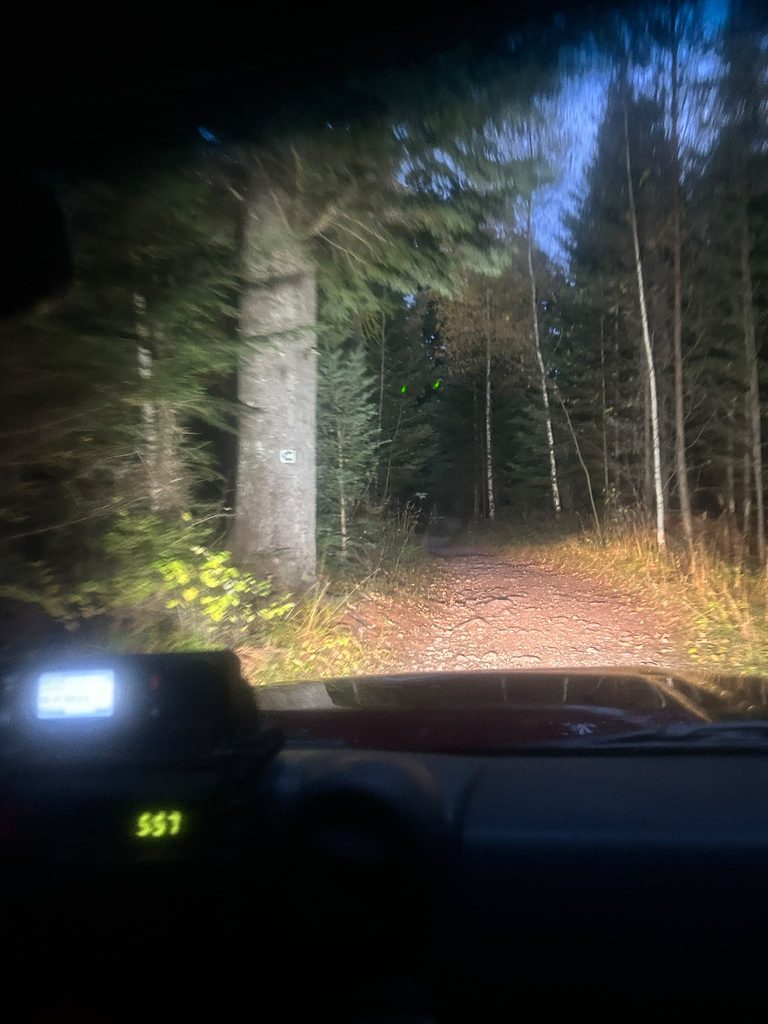 Článok: Bolesť dolnej končatiny pod Chatou Plesnivec